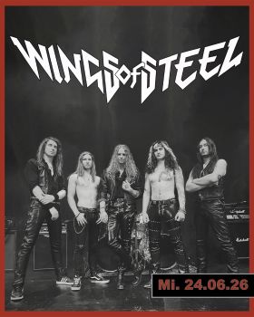 Wings Of Steel