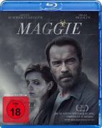 08 maggi