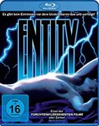 04 entity