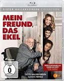 11 meinfreunddasekel