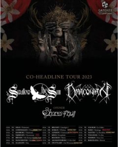 04 swallowthesun flyer