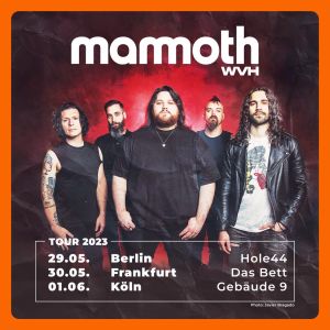 05 mammothwvh flyer