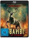 11 bambi