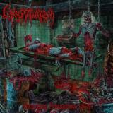 03 cryptworm